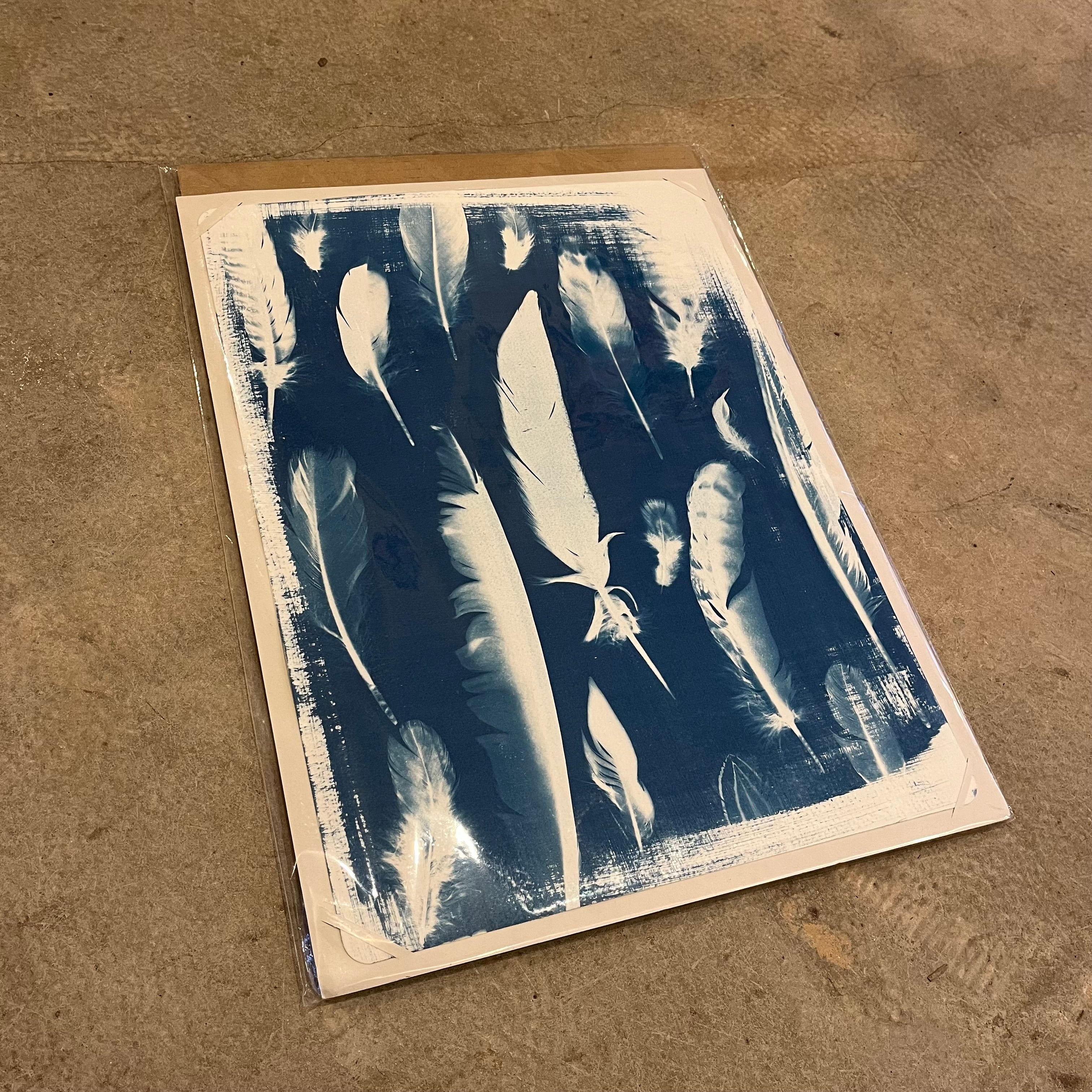 Danielle East Art - A3 Original Cyanotype Print - Image 8